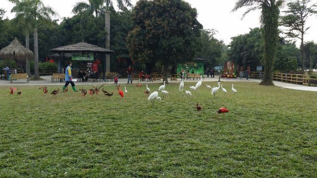 Chimelong Bird Park