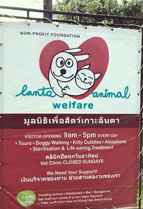 Lanta Animal Welfare Attractions 汤姆猫大王 Ko Lanta Travel