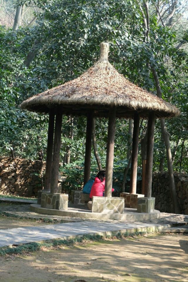 Qionglong Mountain