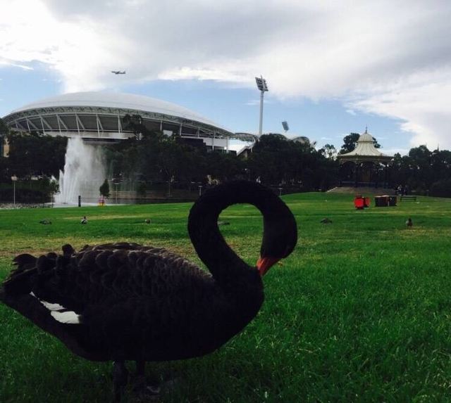 Torrens River
