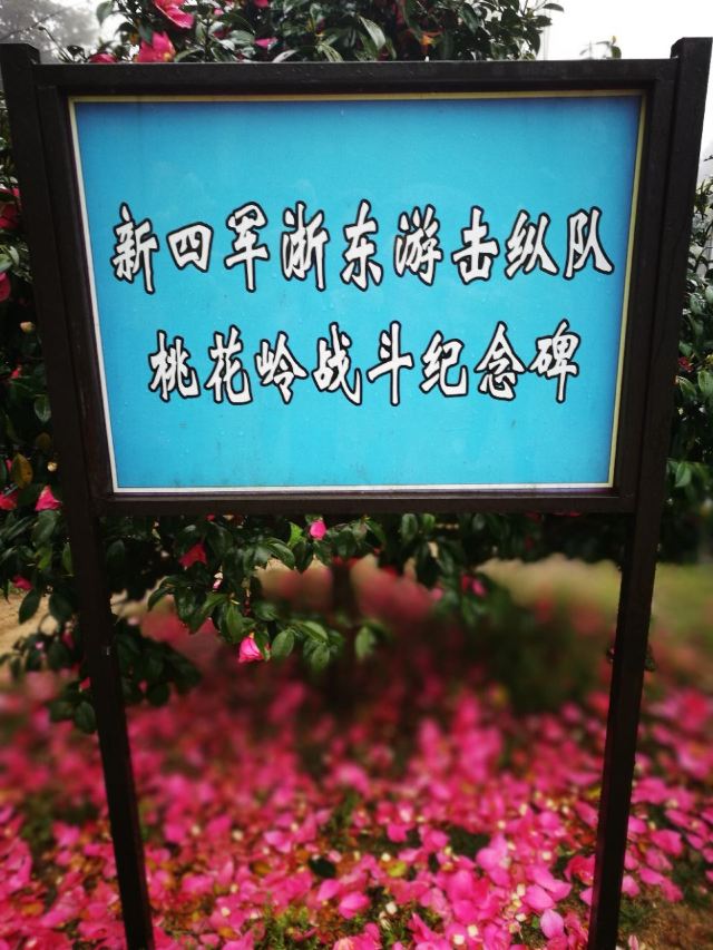 팡자허터우춘