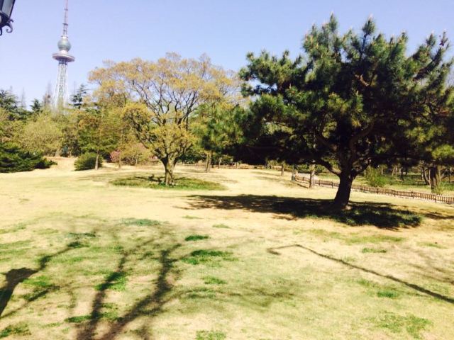 中山公園