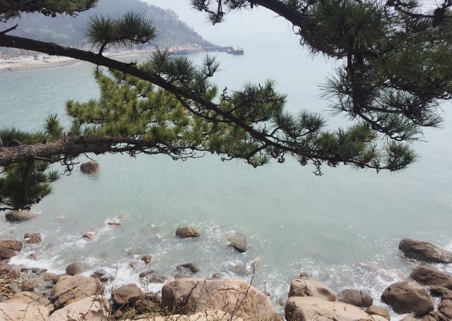 노산