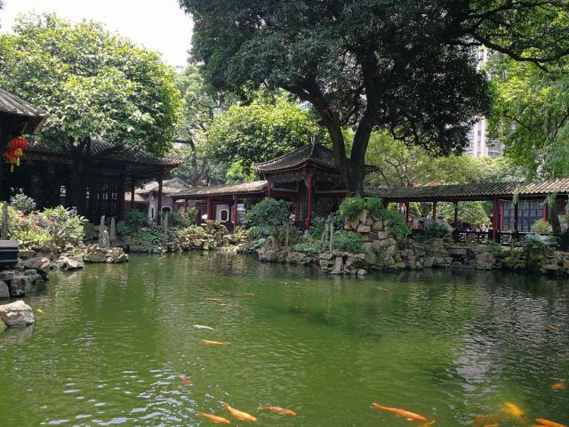 Qinghui Garden