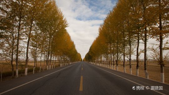 甘肅-扁都口秋天