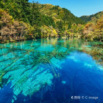 九寨沟+黄龙风景名胜区+四姑娘山4日3晚跟团游