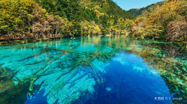 8-Day Sichuan+Chongqing Twin Cities Experience: Giant Pandas, Jiuzhaigou Scenic Area, Hongya Cave | 1 Day Free at Leisure | Stay in 5-Diamond Hotel