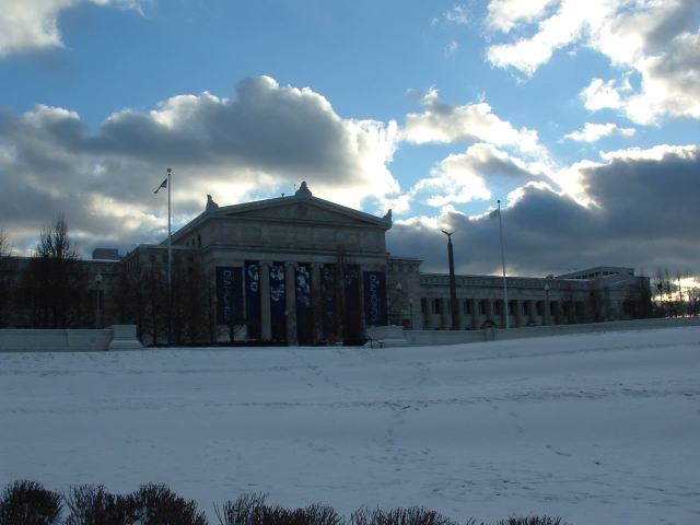 The Field Museum