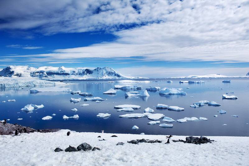 美丽的南极