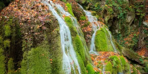 大亮子河國家森林公園