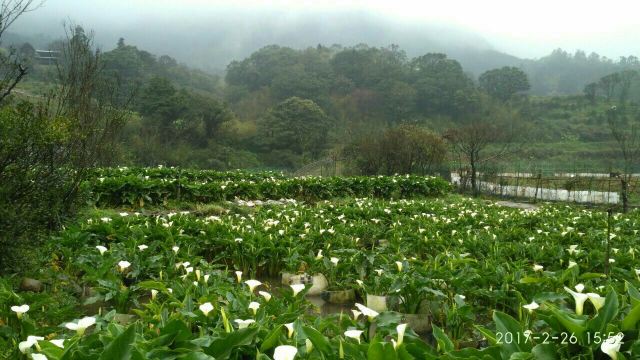 양명산 국립공원