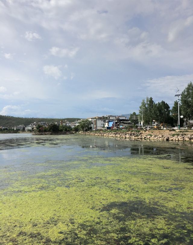 環洱海旅拍