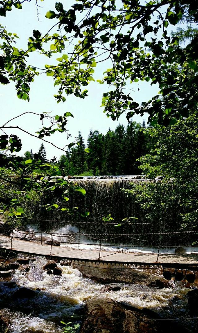 湯旺河石林風景區(湯旺河國家公園)