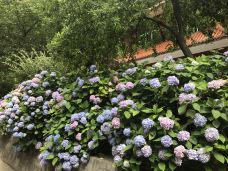 鱼泉山风景区-万源-YoYo_9X5A8M5M