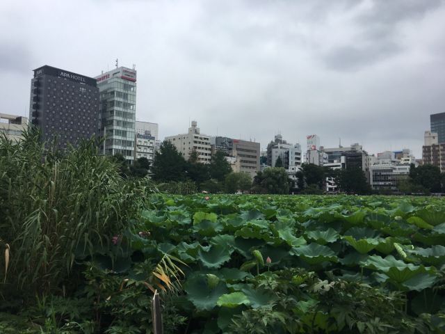 우에노 공원