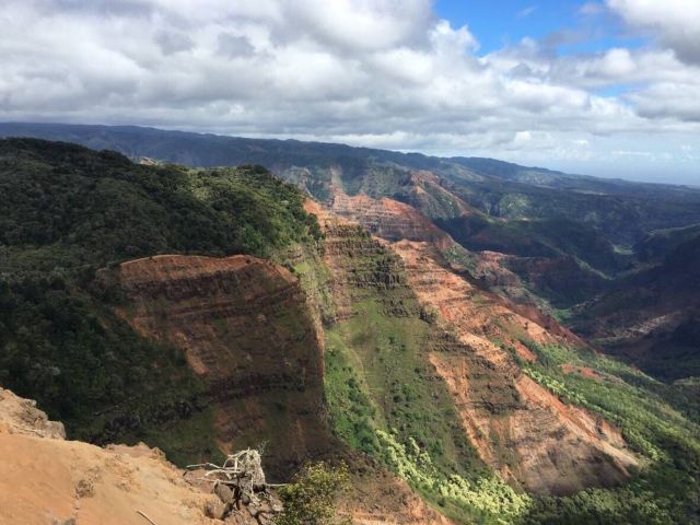 Waimea Valley