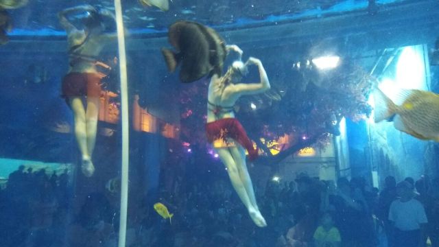 Kunming Huadu Ocean World
