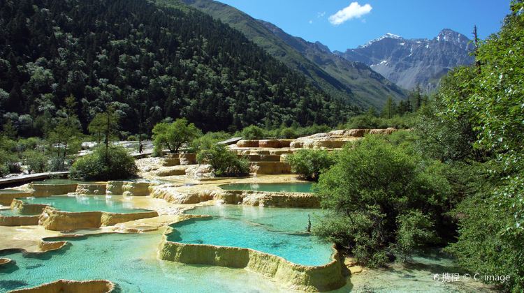 6-Day Small Group Sichuan Tour·Pandas, Jiuzhaigou & Huanglong with Butler Service, Free Day in Chengdu | 5-Star Hotels