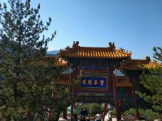 菩萨顶-五台-邪情公子