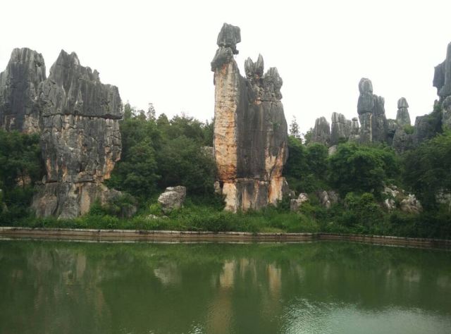 Stone Forest