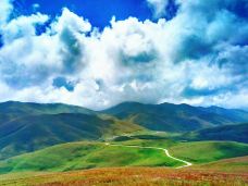 大海草山-会泽-YoYo_8F7A4K1J