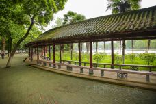 紫阳公园-武汉-doris圈圈