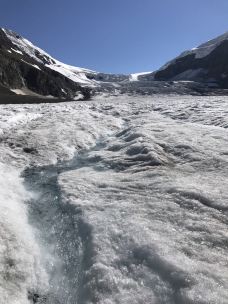 冰原大道-Improvement District No. 9-沉香木鱼