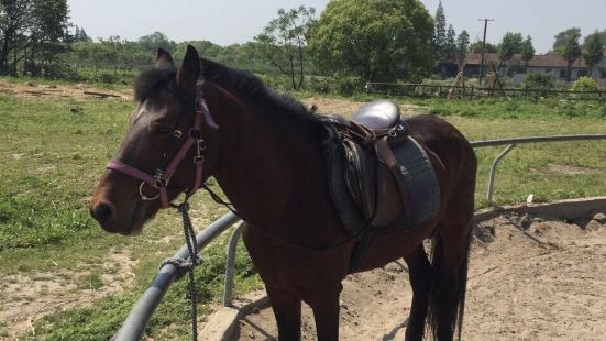 Chenshan 517 Equestrian Club