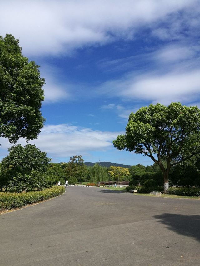 쥐쯔저우(귤자주)