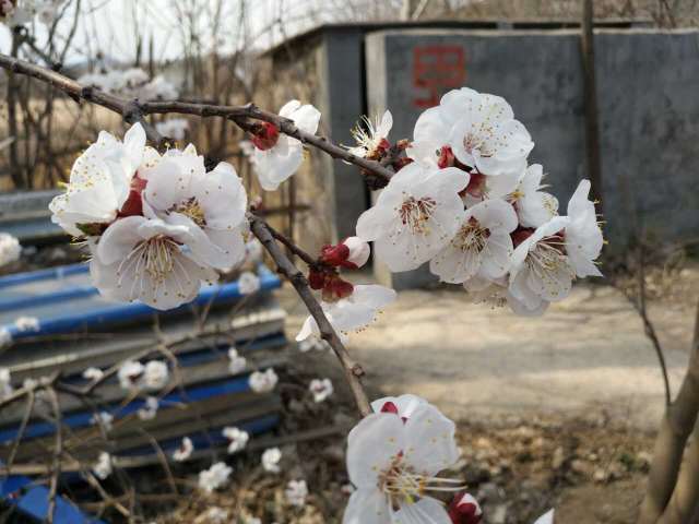 肯德基(新城路店)