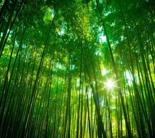 正新鸡排·炸鸡烧烤(天台3店)餐厅图片