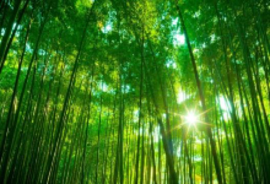 正新鸡排·炸鸡烧烤(天台3店)美食图片