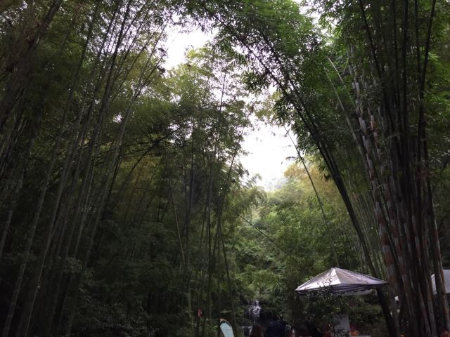 Shunan Zhuhai (“South Sichuan Bamboo Sea”) National Park