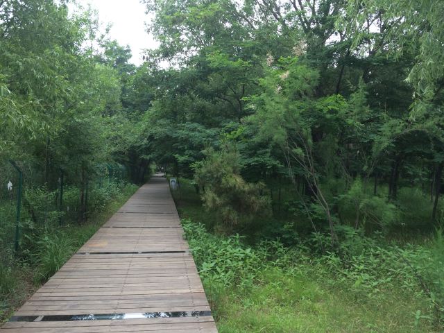 Pigeon Nest Park