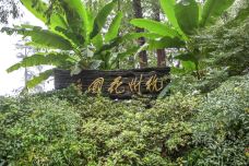 杭州西湖风景名胜区杭州花圃-杭州-doris圈圈