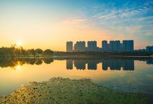 盐渎湿地公园景点图片