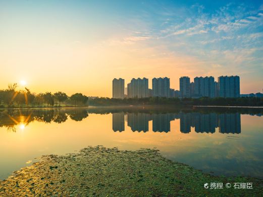 盐渎湿地公园