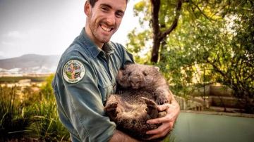 Bonorong Wildlife Sanctuary