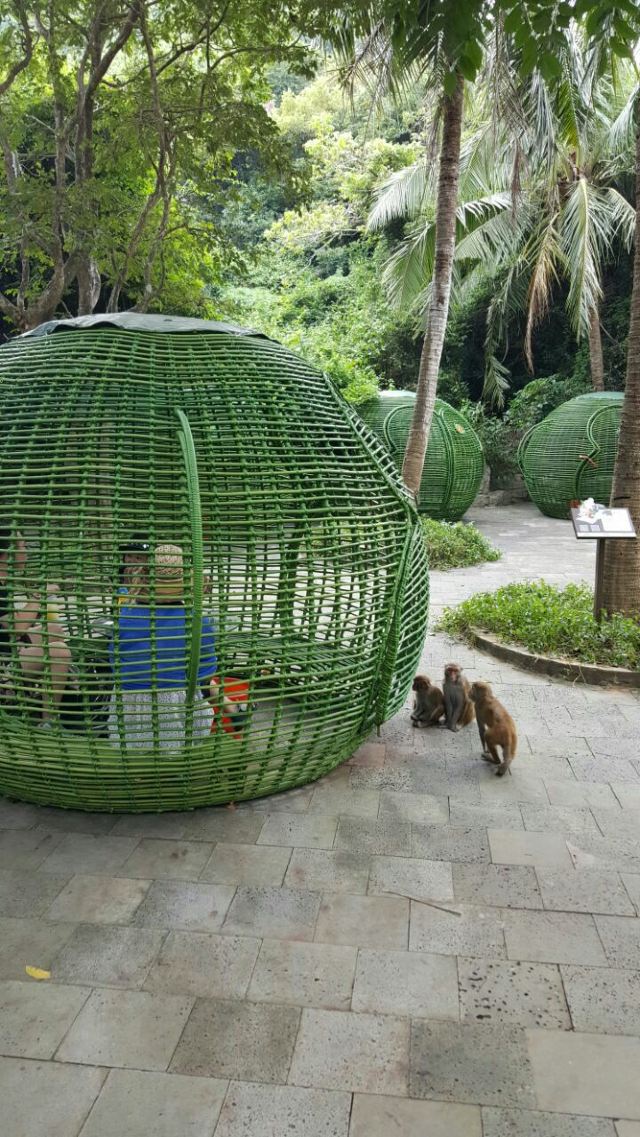 Nanwan Monkey Island