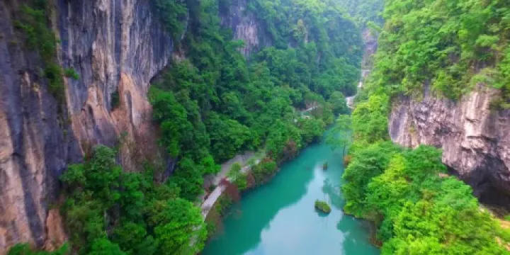 中亞楠木林風景區