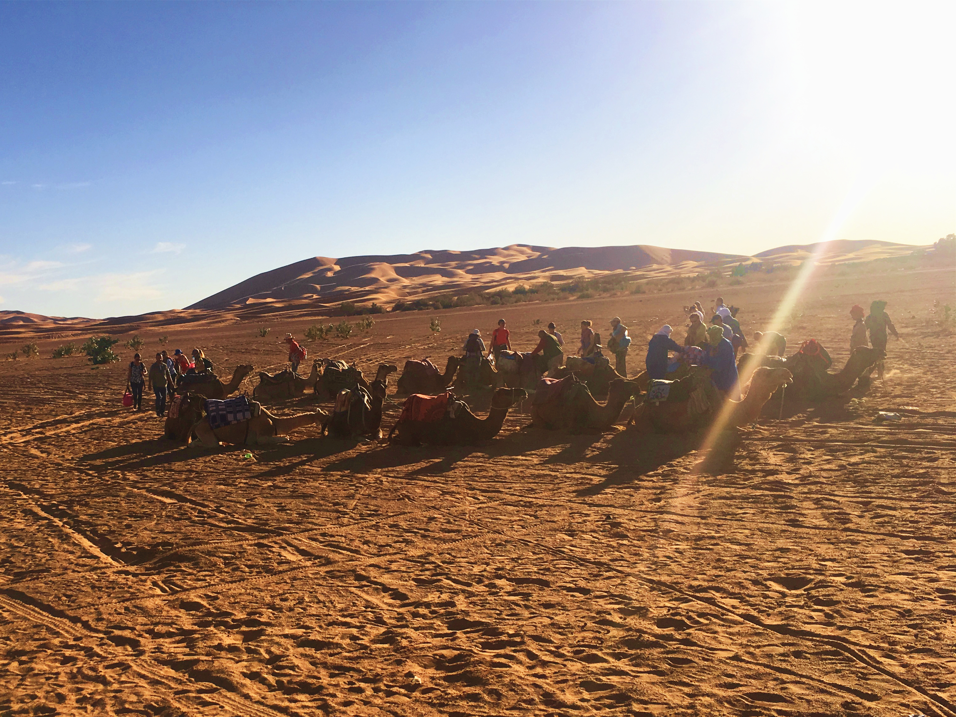 驱车梅尔祖卡营地，转乘骆驼深入撒哈拉   梅尔祖卡的营地，朴素的柏柏尔人和他们的骆驼阵是入沙漠向导一