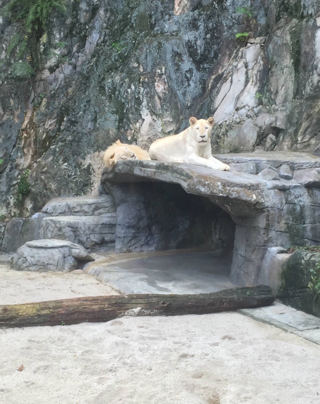 썬웨이라군