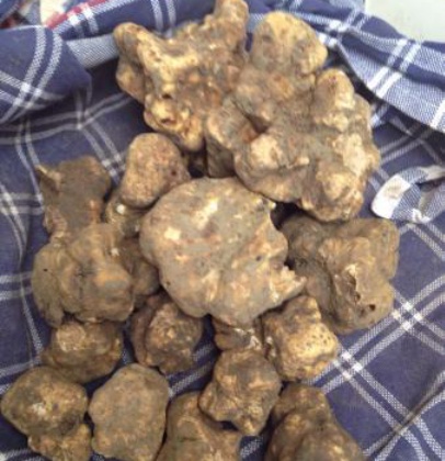 Ristorante Pizzeria San Bartolomeo餐厅图片