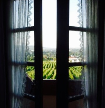 Weingut Magdalenenhof餐厅图片