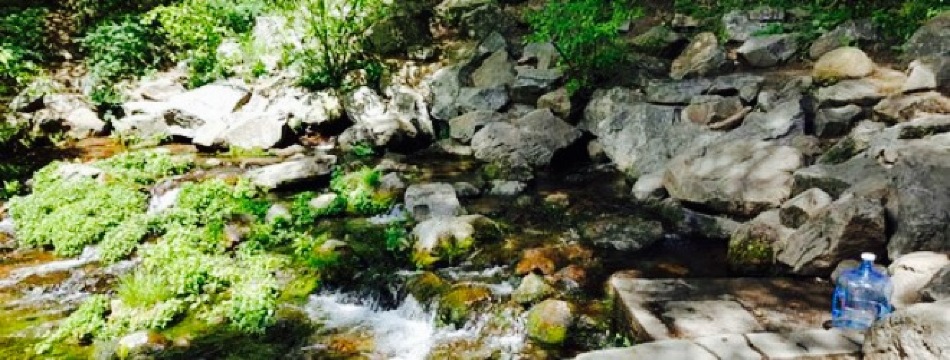 Dos Geckos餐厅图片