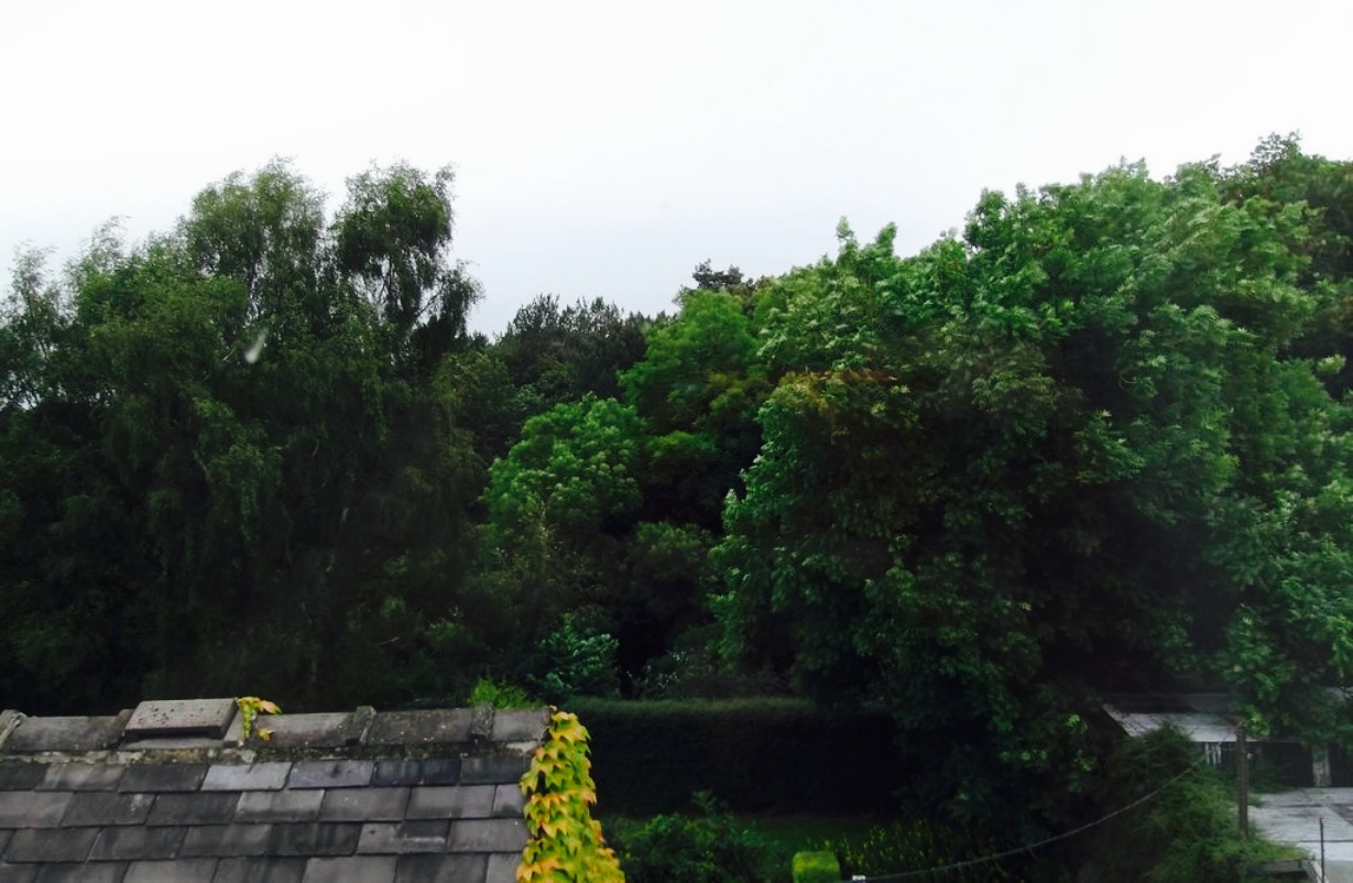 Jug & Glass Inn餐厅图片