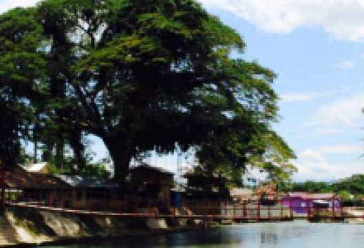 Wisma Leuser Sibayak Restaurant美食图片