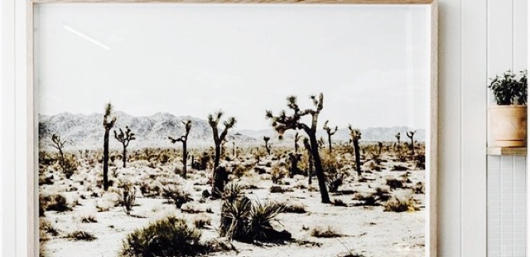 Southside餐厅图片