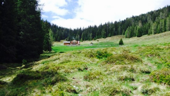 Houfa Hitte餐厅图片