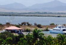 Pizza Marina Ouenghi美食图片